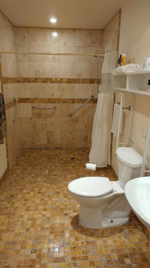 Lionheart B&B Lions Head Dış mekan fotoğraf
